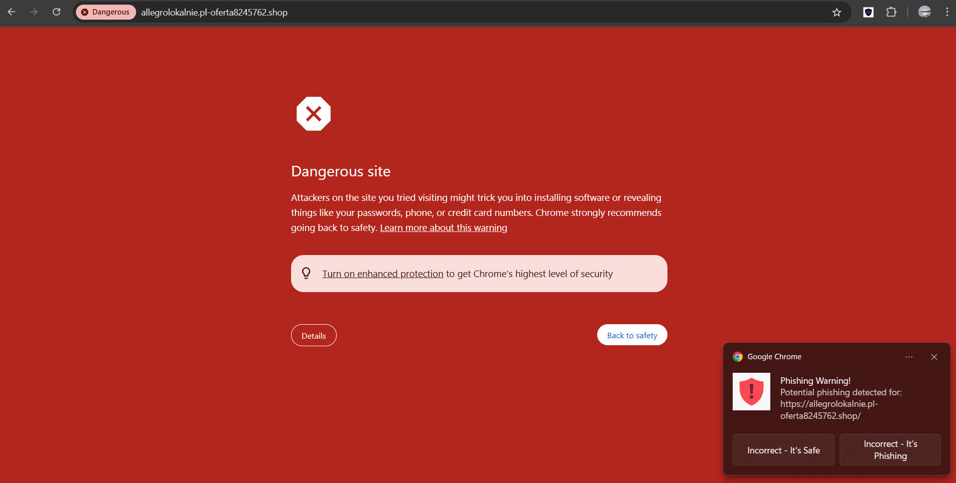 PhishNet - Phishing Detection browser extension